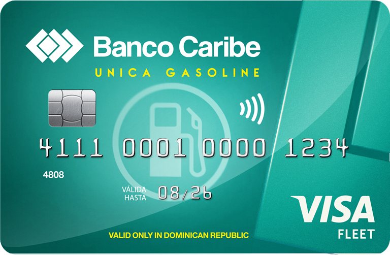 Imagen Visa Única Gasoline