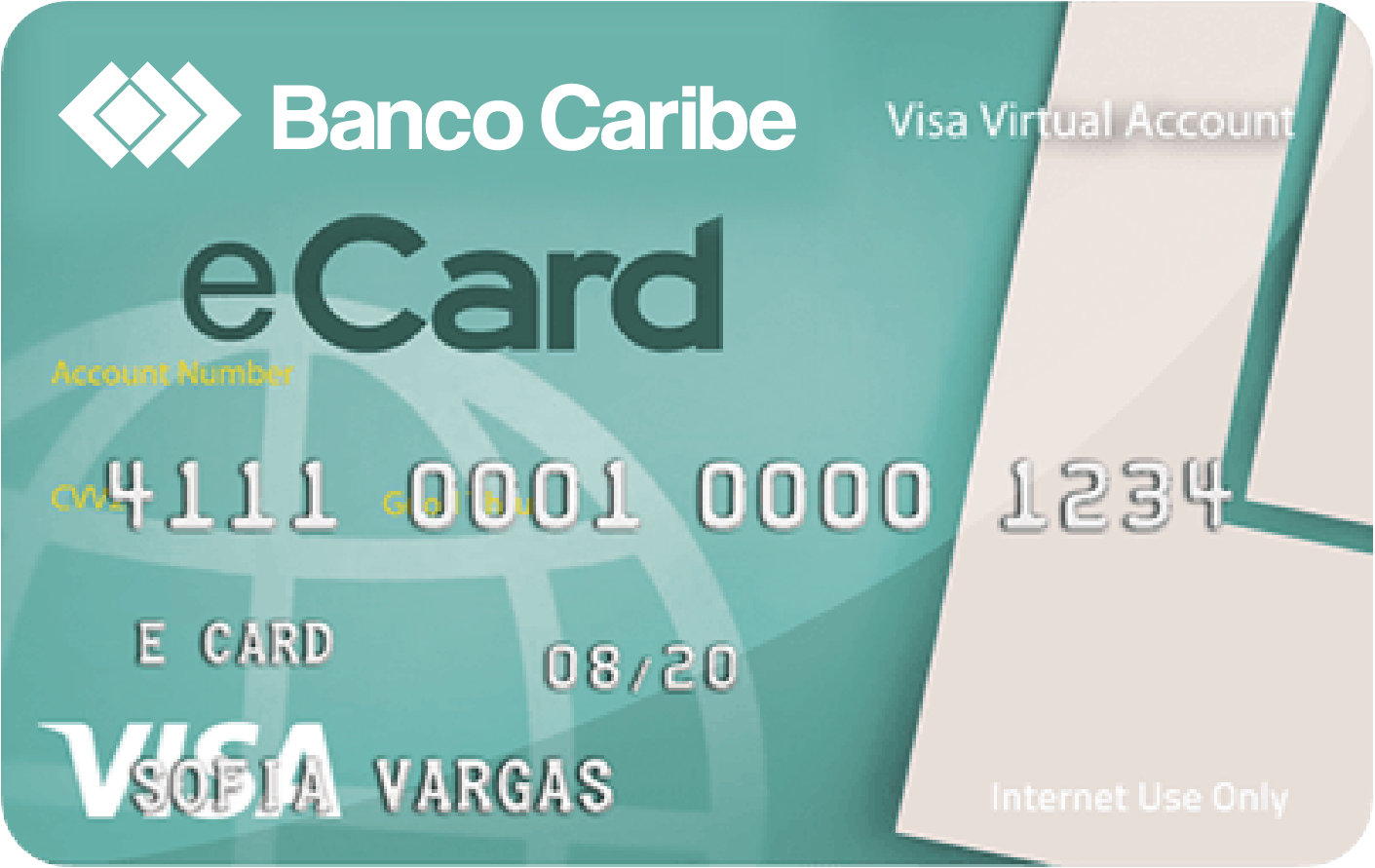 Imagen Visa E-Card