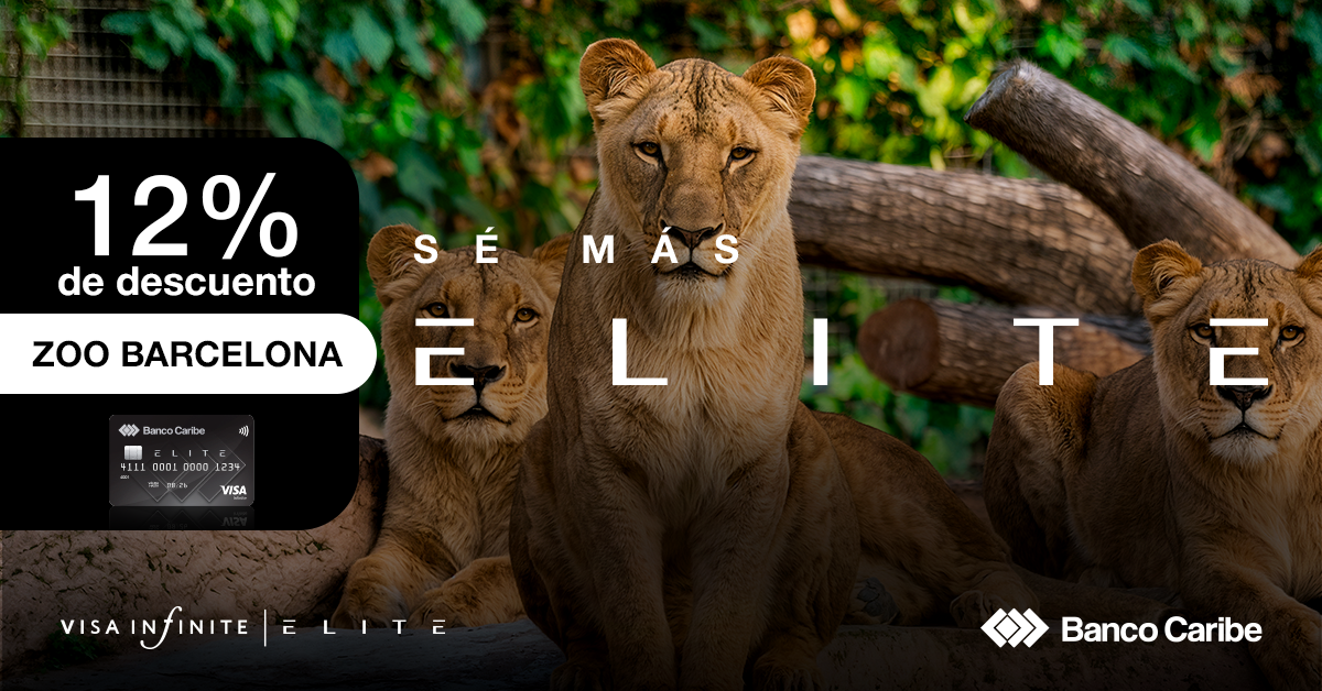 Vive una aventura salvaje en el Zoo de Barcelona
